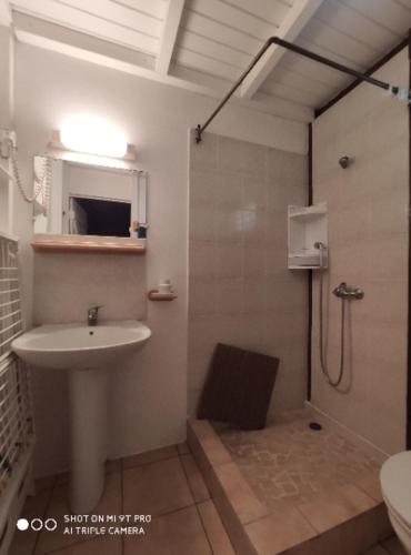 a bathroom with a shower and a sink and a shower at Bakoulélé en Guadeloupe in Bouillante