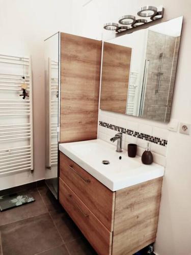 une salle de bain avec un lavabo et un miroir dans l'établissement Superbe maison rénovée avec agréable jardin, à Sainte-Catherine