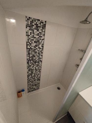 La salle de bains est pourvue d'une douche et de carrelage noir et blanc. dans l'établissement Studio Duplex au cœur du quartier historique!, à Bergerac