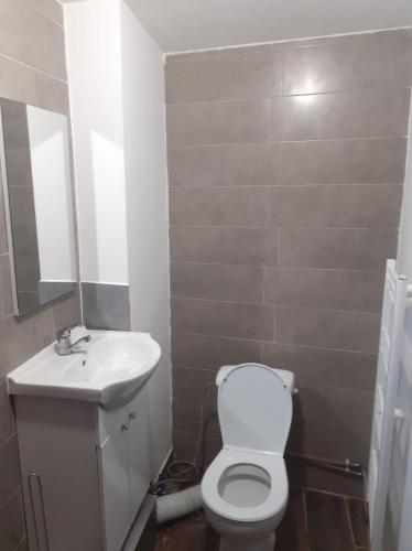 uma casa de banho com um WC branco e um lavatório. em Nice Studio in Villa ELENA Ultracentral Pallas Mall em Iaşi