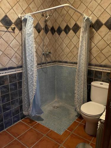 a shower in a bathroom with a toilet at Albergue Rural Gorillo in Gor