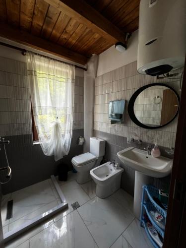 bagno con servizi igienici, lavandino e specchio di Guest House Aprripe Guri a Fierzë