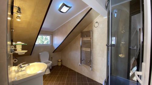 La salle de bains est pourvue de toilettes, d'un lavabo et d'une douche. dans l'établissement Casa Fanel, à Buşteni