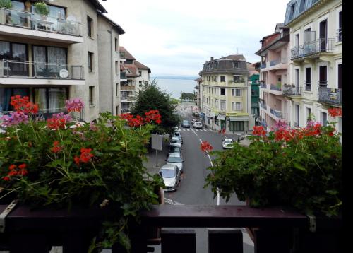 a view of a city street with buildings and flowers at Hotel Le Bourgogne in Évian-les-Bains