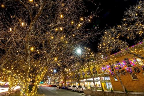 a city street with christmas lights on trees at Elegant Old Town Charm - Walk to CSU and Downtown in Fort Collins