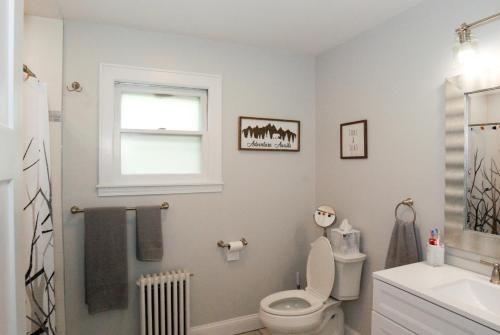 a bathroom with a toilet and a sink and a window at Maple Leaf Lodge in Schroon Lake