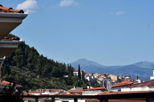 a view of a city with mountains in the background at Κεντρικό και ευρύχωρο οροφοδιαμέρισμα in Kastoria