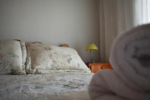 a bedroom with a bed with two pillows and a lamp at Κεντρικό και ευρύχωρο οροφοδιαμέρισμα in Kastoria