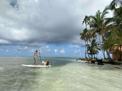 a man and a dog on a surfboard in the ocean at Private Over-Water Cabin on paradise San Blas island in Waisalatupo