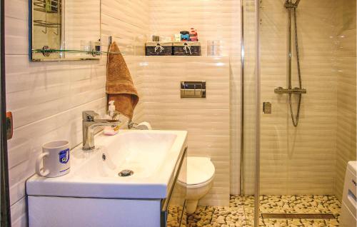 オストルダにあるCozy Home In Ostroda With Wifiのバスルーム(洗面台、トイレ、シャワー付)