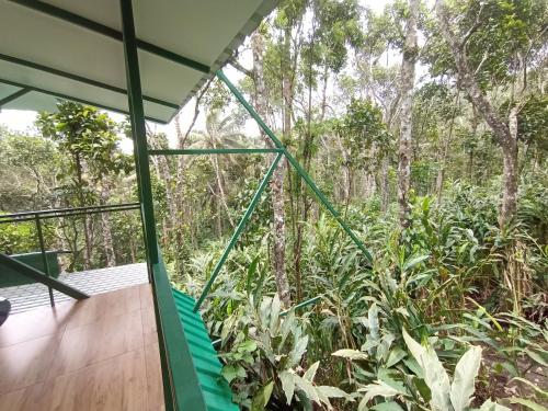 a view from the inside of a house in a forest at SpiceBuds FarmStay - Ramakkalmedu in Idukki