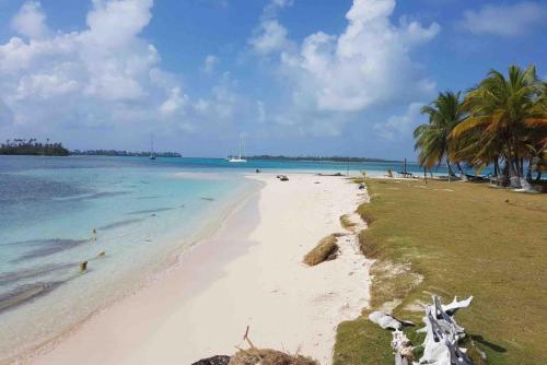 a sandy beach with palm trees and the ocean at San Blas Islands - Private Cabin Over-the-Ocean including Meals in Mandinga