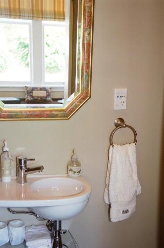 a bathroom with a sink and a mirror at Anglesea House Inn in Renwick