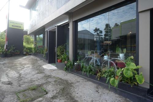 Jardín al aire libre en Urbanview Hotel Umbrella Dieng by RedDoorz