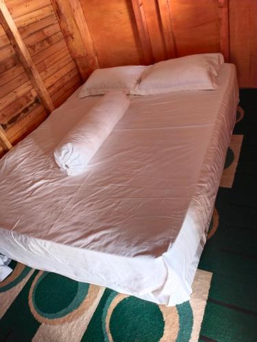 Gallery image of Homestay Pak Ucu in Sebungpelangka