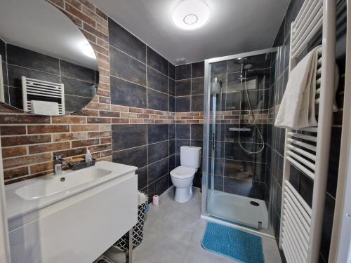 La salle de bains est pourvue d'une douche, d'un lavabo et de toilettes. dans l'établissement Le Nid Douillet, à Amiens