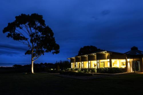 a house lit up at night with a tree at The Louise in Marananga