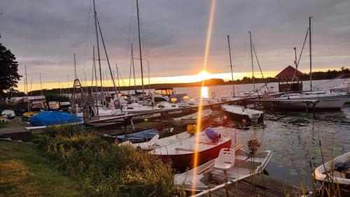 a group of boats docked at a marina at sunset at Apartament z tarasem widok na jezioro - Ostroda in Ostróda