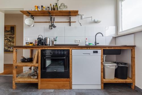 eine Küche mit einer Theke und einem Geschirrspüler in der Unterkunft Urban Central in Karlsruhe