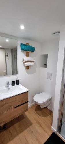 ein Badezimmer mit einem WC, einem Waschbecken und einem Spiegel in der Unterkunft Superbe studio entre vieille-ville et Stanislas in Nancy