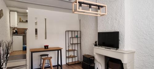 ein Wohnzimmer mit einem Kamin und einem Flachbild-TV in der Unterkunft Superbe studio entre vieille-ville et Stanislas in Nancy