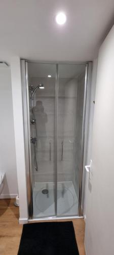 eine Dusche mit Glastür im Bad in der Unterkunft Superbe studio entre vieille-ville et Stanislas in Nancy