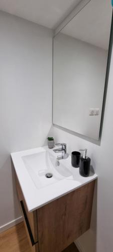 ein Badezimmer mit einem weißen Waschbecken und einem Spiegel in der Unterkunft Superbe studio entre vieille-ville et Stanislas in Nancy