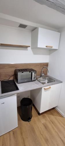 eine Küche mit einer Spüle und einer Mikrowelle auf der Theke in der Unterkunft Superbe studio entre vieille-ville et Stanislas in Nancy