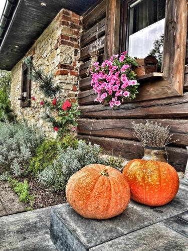two pumpkins sitting on a step in front of a house at Malinowa Chatka in Jankowice