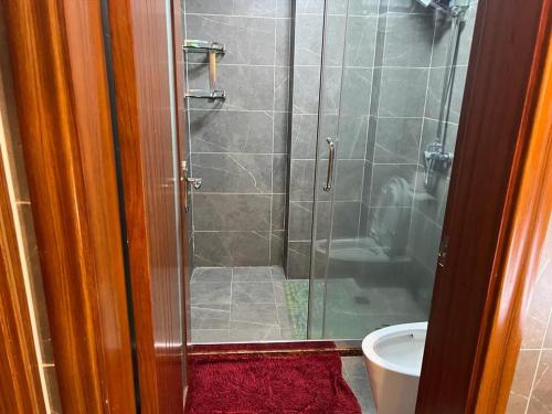 y baño con ducha de cristal y aseo. en Enzi Heights Apartment Block B en Nairobi
