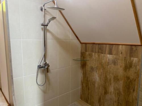 a shower with a shower head in a bathroom at Mouggae Blues Villas in Beau Vallon
