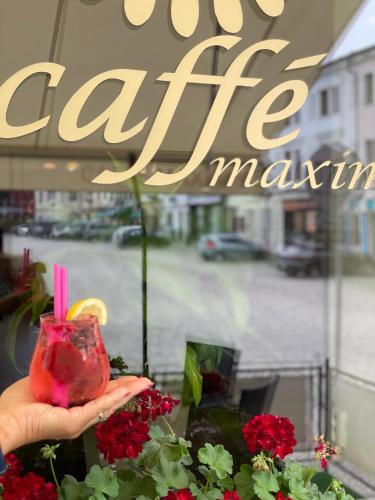 Fotografie z fotogalerie ubytování Hotel Maxim v Frýdku Místku