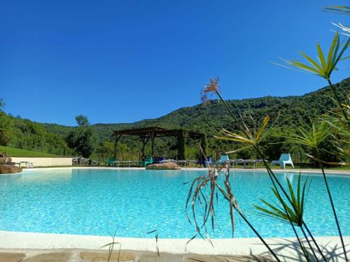 duży basen z górą w tle w obiekcie Agriturismo Piano di Andrea w mieście Ostigliano