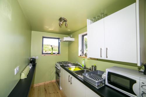 cocina con paredes verdes, fregadero y microondas en Tarset Tor - Bothy 2, en Hexham