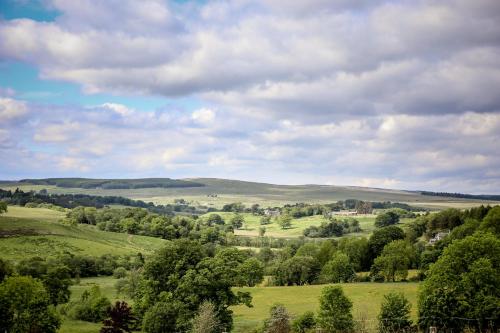 a view of a green field with trees at Tarset Tor - Bothy 2 in Hexham