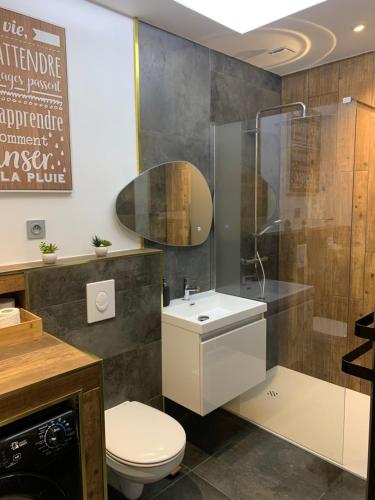 a bathroom with a toilet and a shower and a sink at Maison face à la Cathédrale in Bourges