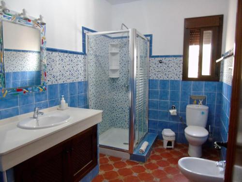 a bathroom with a shower and a sink and a toilet at Balcón al Valle in El Gastor