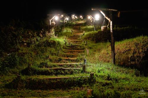 a set of stairs in a field at night at TeHyCa in Kūkkāl