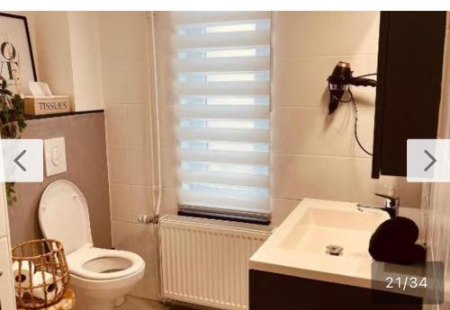 a bathroom with a toilet and a sink at La Villa Bastogne Gîte 4 personnes in Bastogne