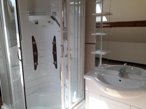 a bathroom with a shower and a sink at gîte de Courcelette in Courcelette