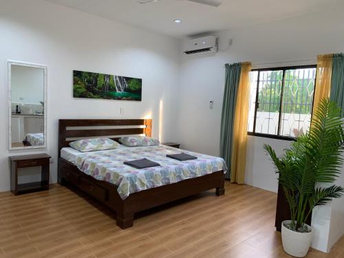 sypialnia z łóżkiem i doniczką w obiekcie Palm Tree Lodge w mieście Moalboal