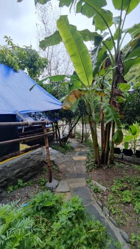 アルモラにあるHobo Rivercampの青い蛇口のベンチ