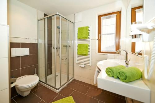 a bathroom with a shower and a toilet and a sink at Mittersteghof, in Filzmoos