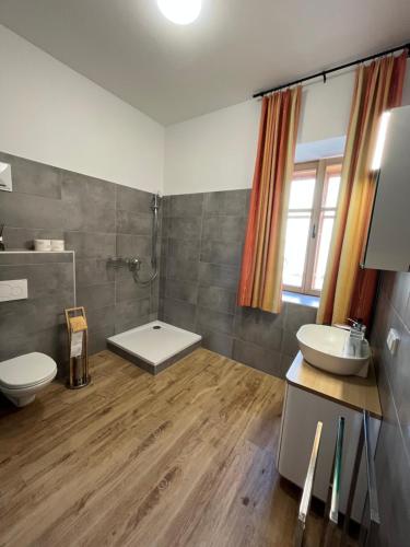 y baño con aseo y lavamanos. en T&T Apartments en Mönchmeierhof