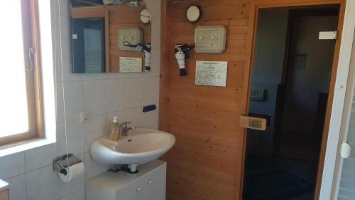 a bathroom with a white sink and a shower at Blockhaus in Kägsdorf