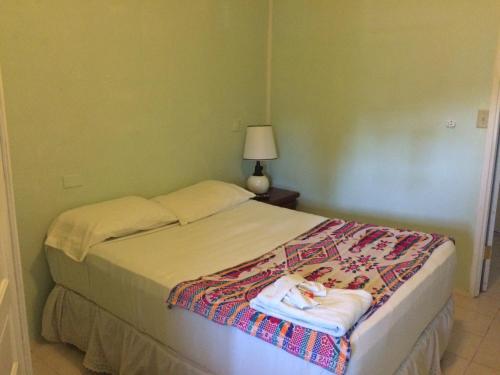 a bedroom with a bed with a blanket on it at Don Santiago Guesthouse Downtown in San Ignacio