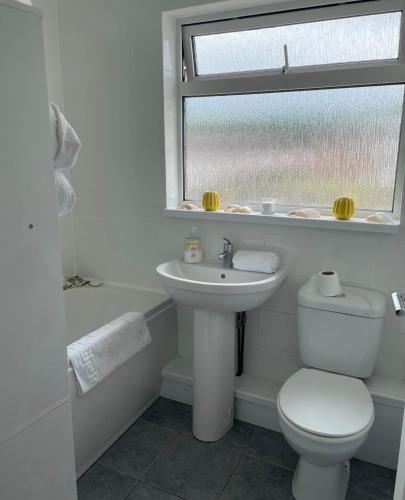 a bathroom with a toilet and a sink and a window at Cozy Flat 15 Mins from City Centre with Parking in Cardiff