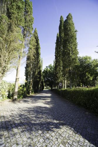 Φυσικό τοπίο κοντά σε αυτό το ξενοδοχείο