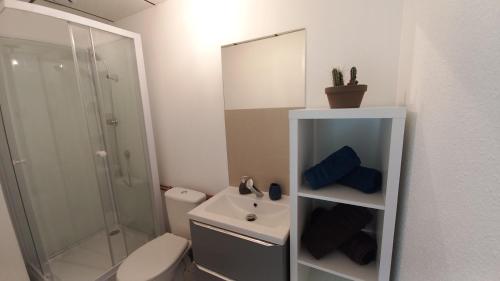 uma casa de banho com um lavatório, um WC e um espelho. em Studio Privé Dijon em Dijon
