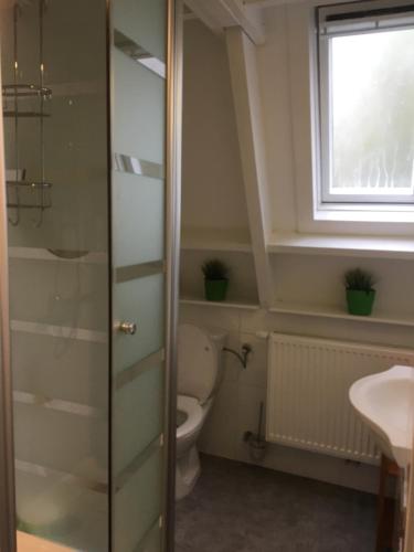 a bathroom with a toilet and a sink and a window at Durbuy chalet 65 in Durbuy